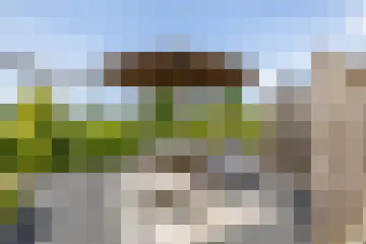 Blaarkop 51 Meerstad thumbnail 16