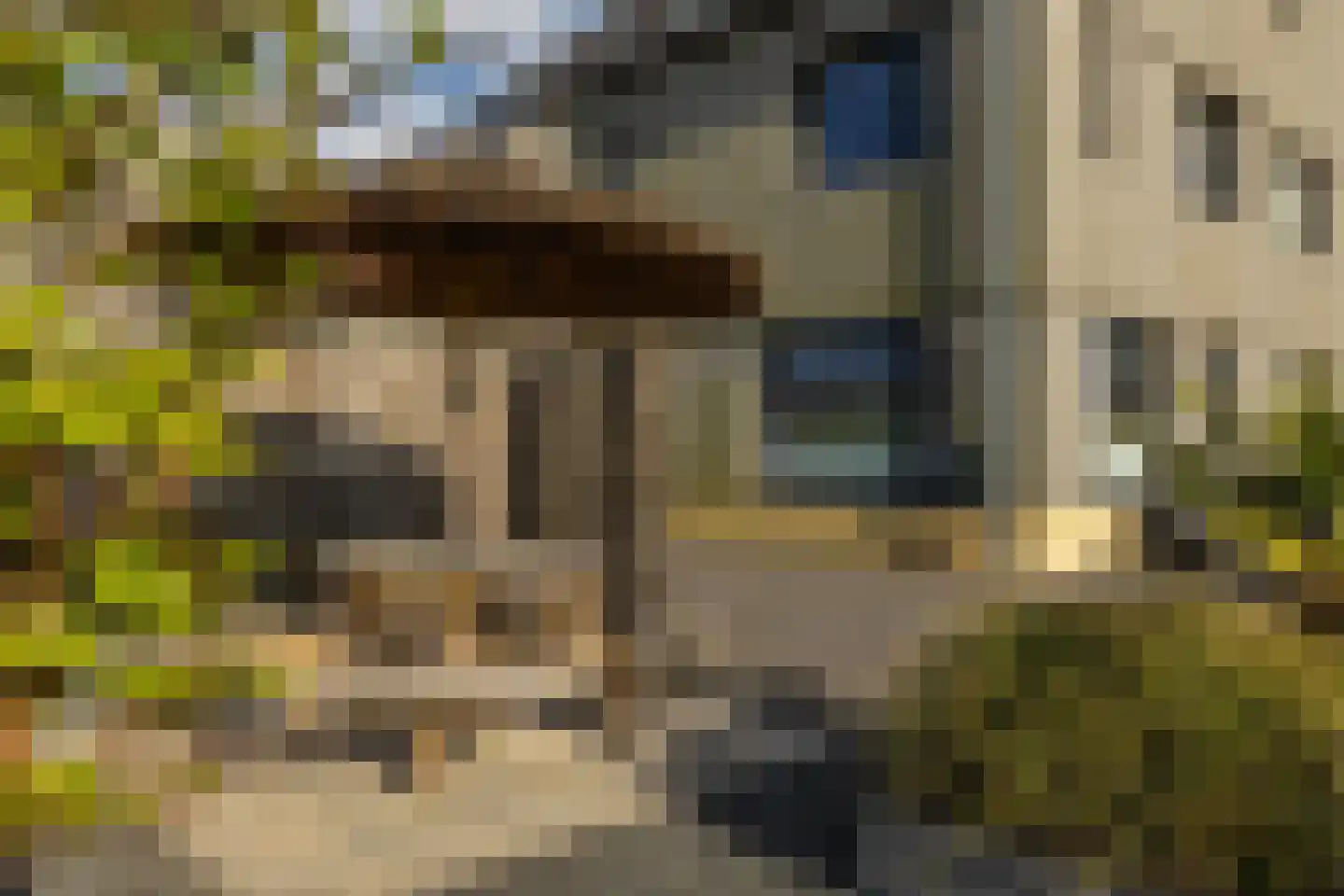 Blaarkop 51 Meerstad thumbnail 16