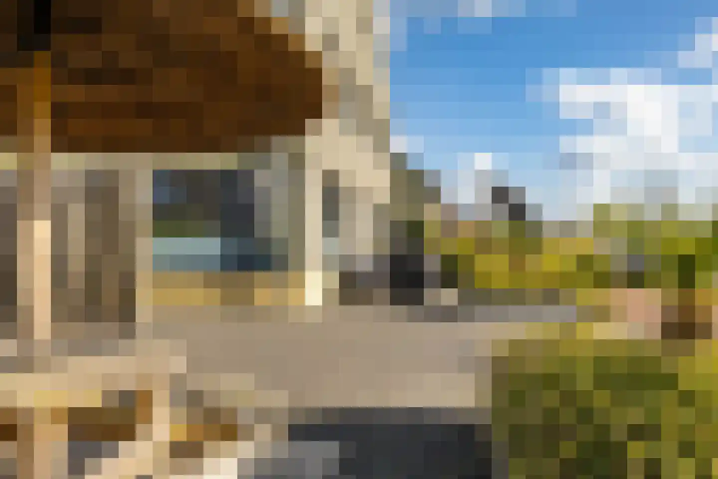 Blaarkop 51 Meerstad thumbnail 17