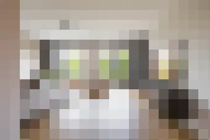 Blaarkop 51 Meerstad thumbnail 19