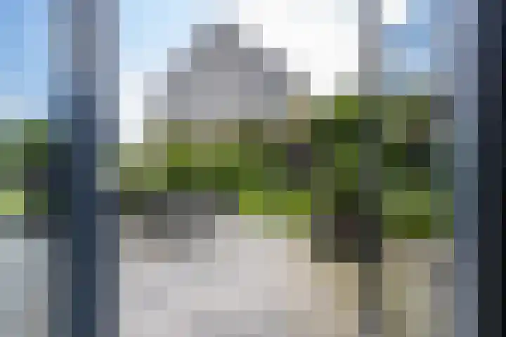Blaarkop 51 Meerstad thumbnail 21