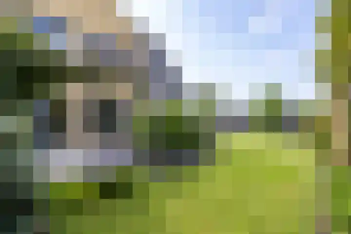 Blaarkop 51 Meerstad thumbnail 23