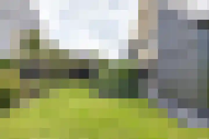 Blaarkop 51 Meerstad thumbnail 24