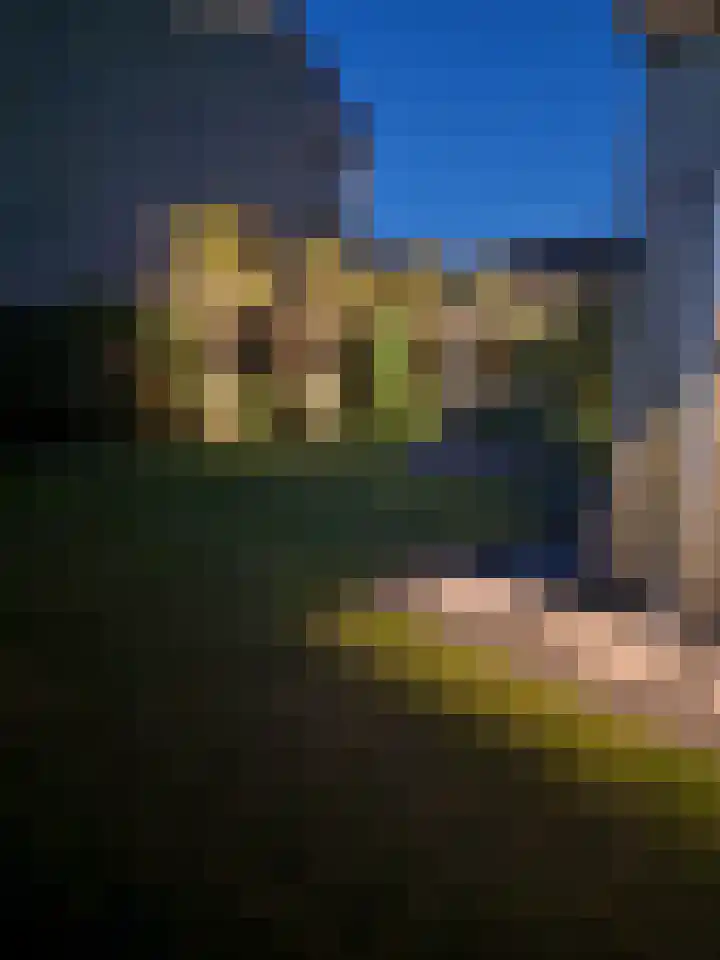 Blaarkop 51 Meerstad thumbnail 25