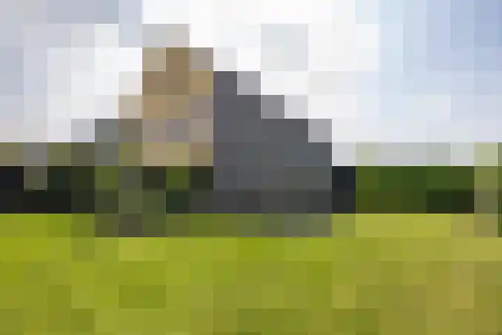Blaarkop 51 Meerstad thumbnail 26