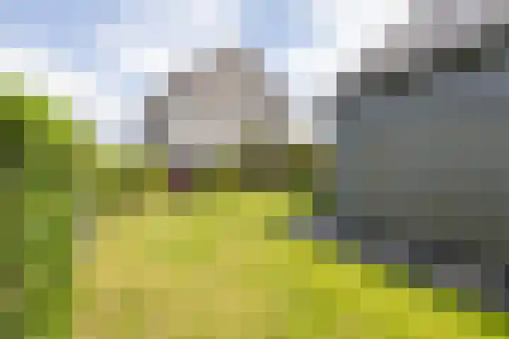 Blaarkop 51 Meerstad thumbnail 27