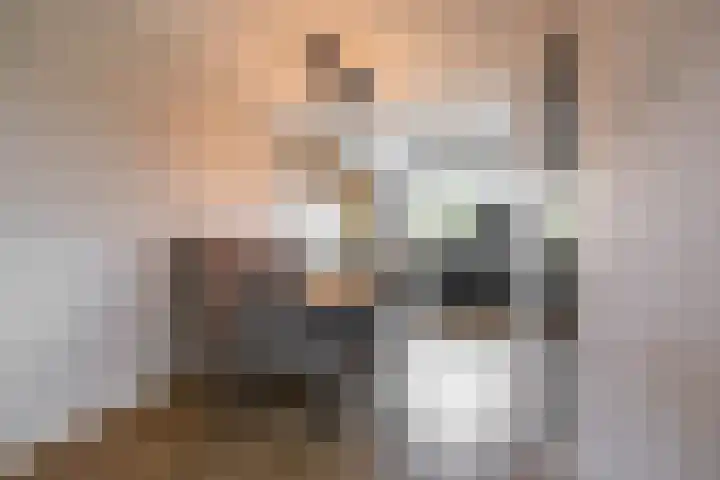 Blaarkop 51 Meerstad thumbnail 31