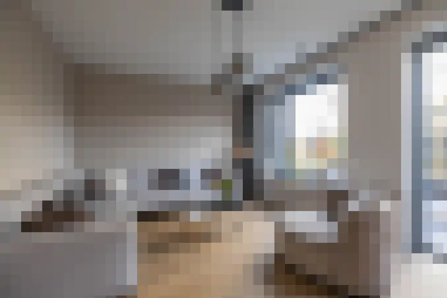 Blaarkop 51 Meerstad thumbnail 31
