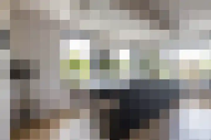 Blaarkop 51 Meerstad thumbnail 33