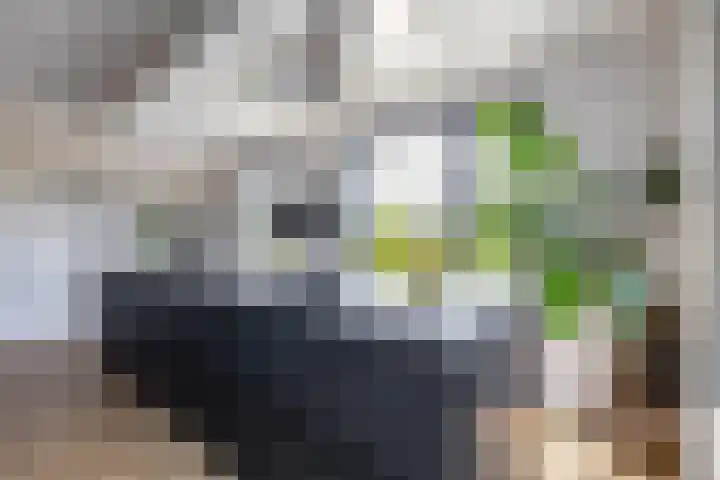 Blaarkop 51 Meerstad thumbnail 38