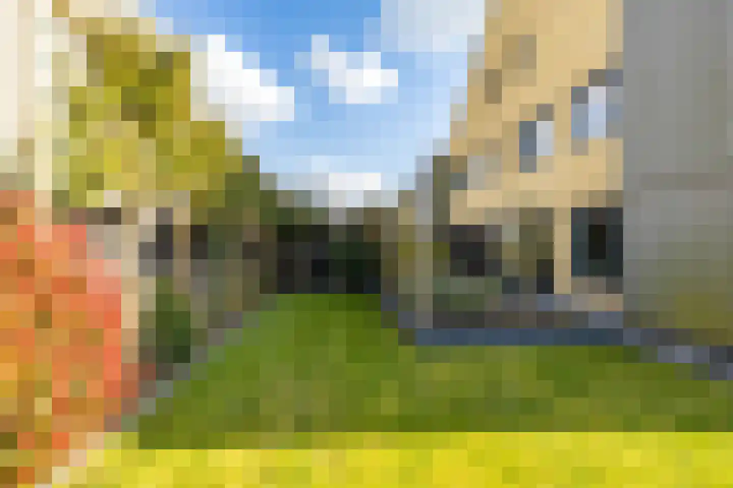Blaarkop 51 Meerstad thumbnail 38