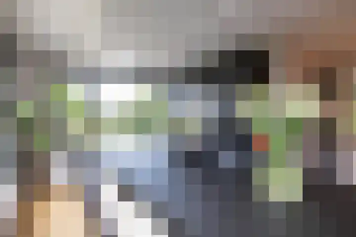 Blaarkop 51 Meerstad thumbnail 4