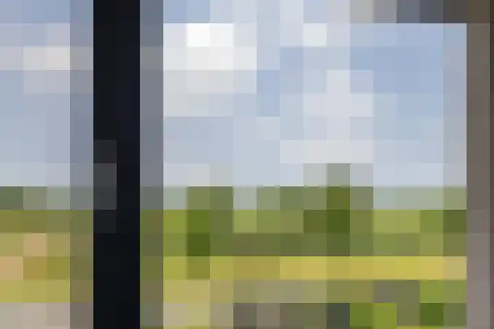 Blaarkop 51 Meerstad thumbnail 43