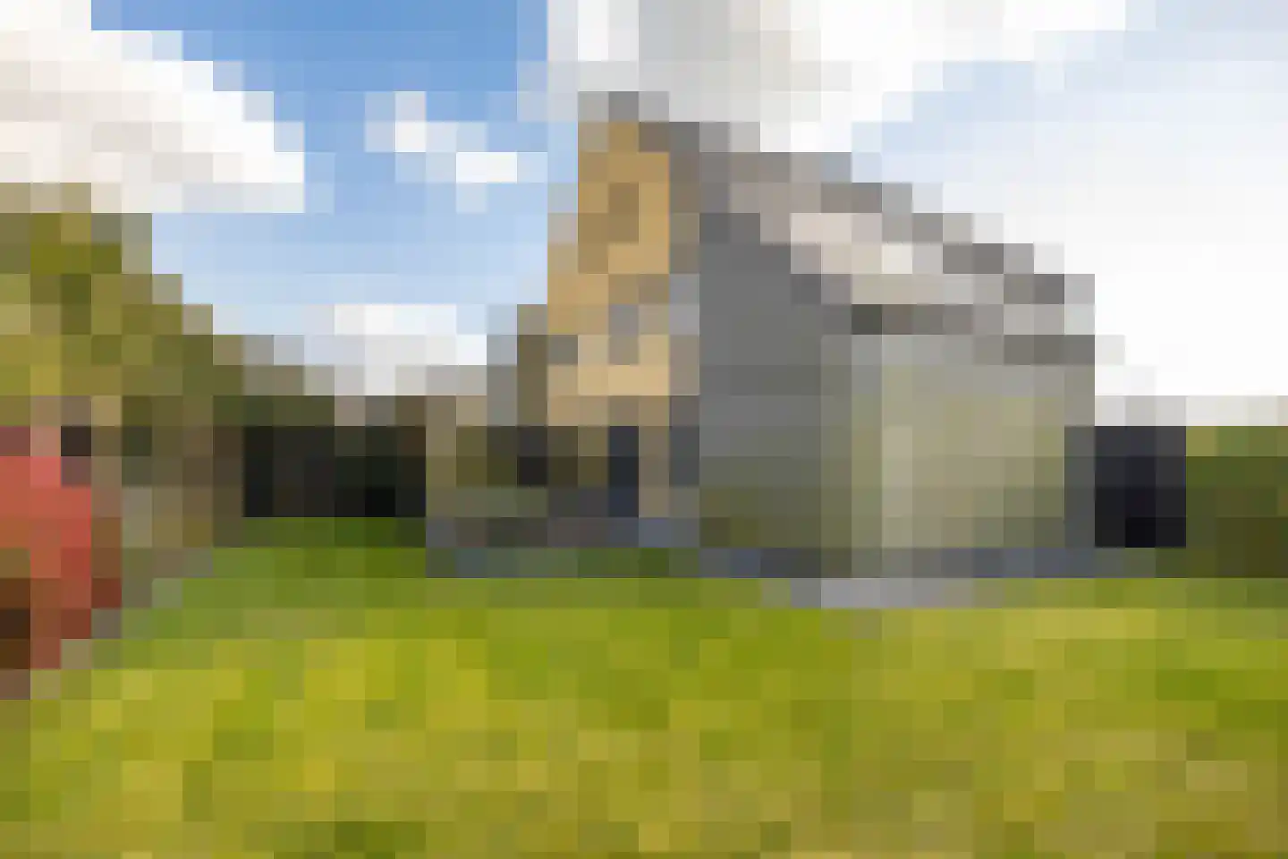 Blaarkop 51 Meerstad thumbnail 5