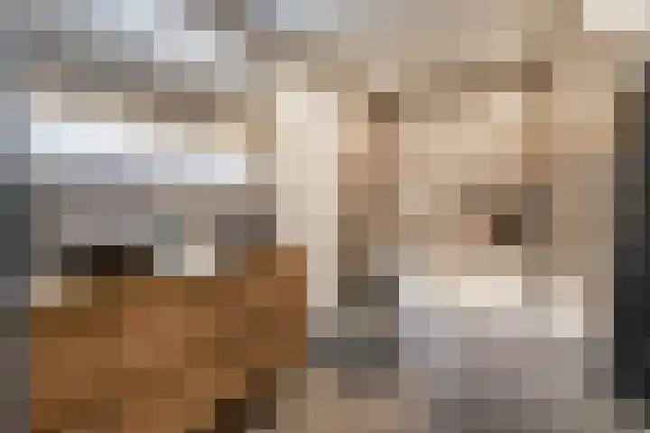 Blaarkop 51 Meerstad thumbnail 7