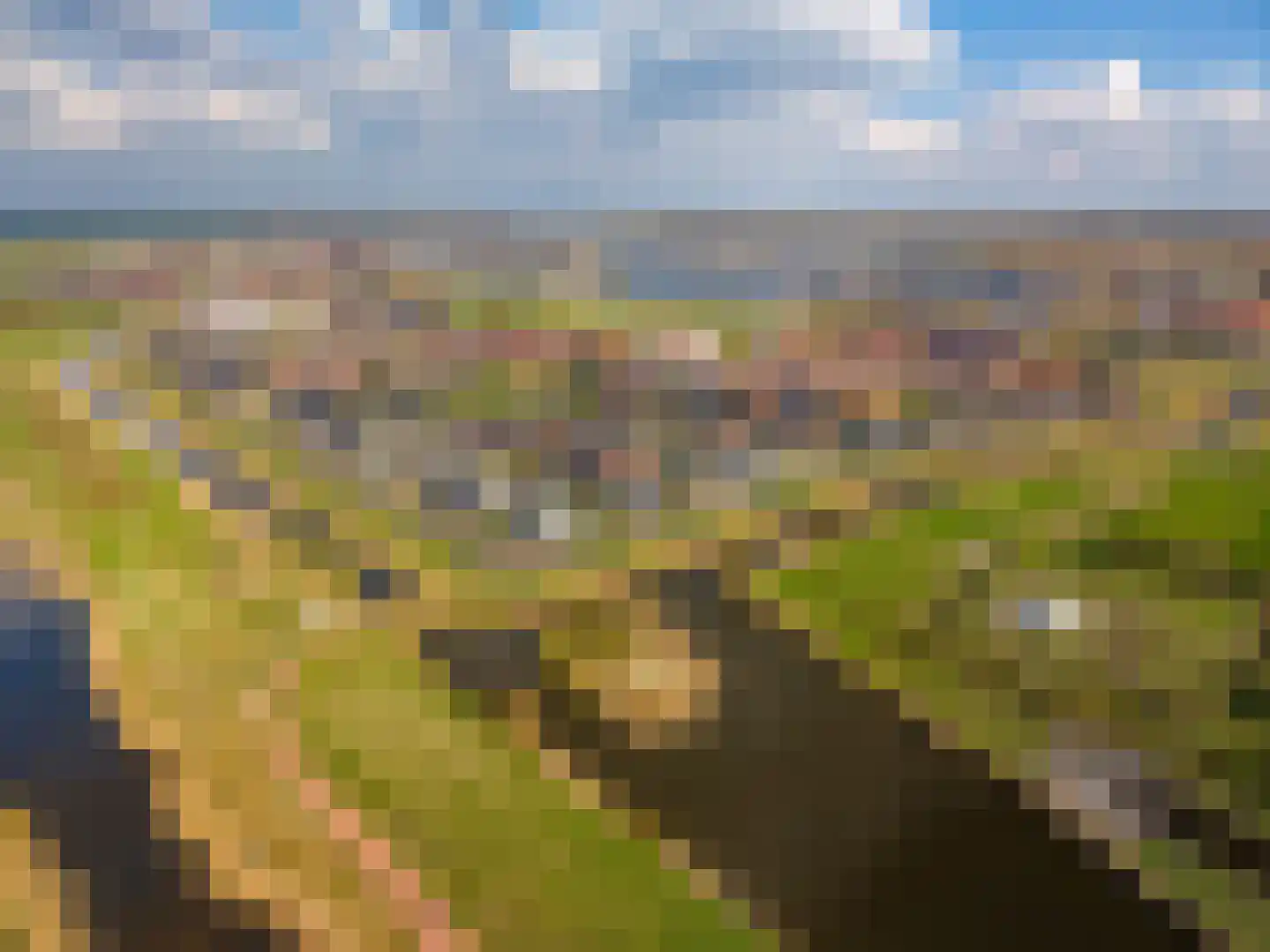 Blaarkop 51 Meerstad thumbnail 8
