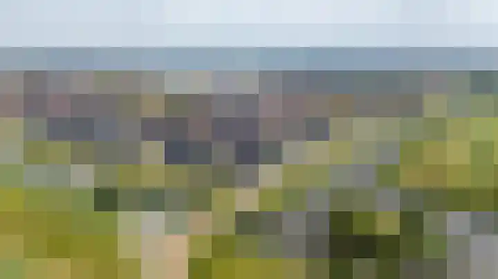 Blaarkop 51 Meerstad thumbnail 8