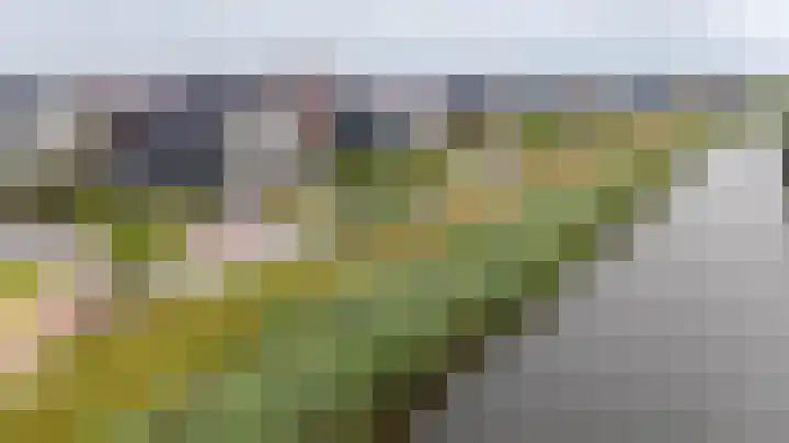 Blaarkop 51 Meerstad thumbnail 9