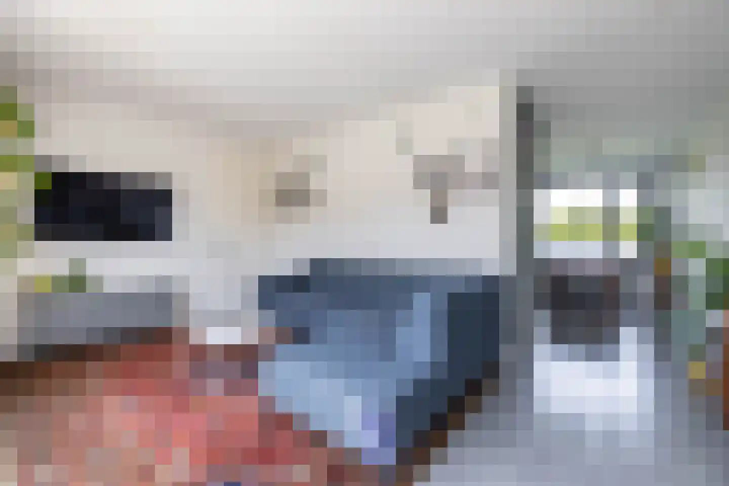 Blaarkop 67 Meerstad thumbnail 23