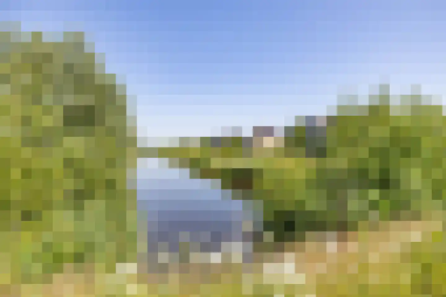 Blaarkop 67 Meerstad thumbnail 54
