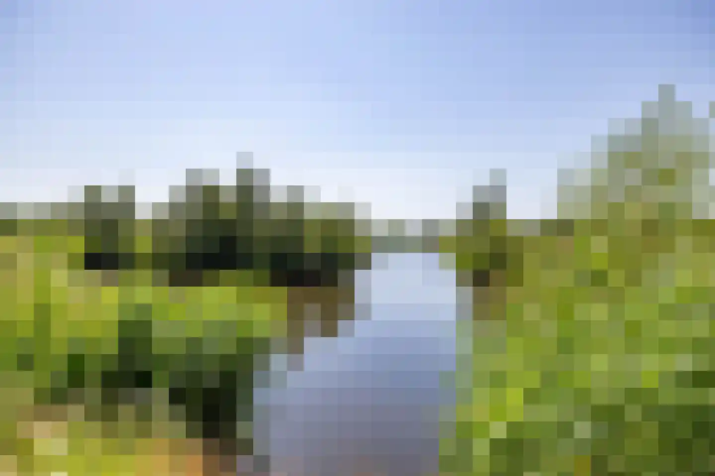 Blaarkop 67 Meerstad thumbnail 55