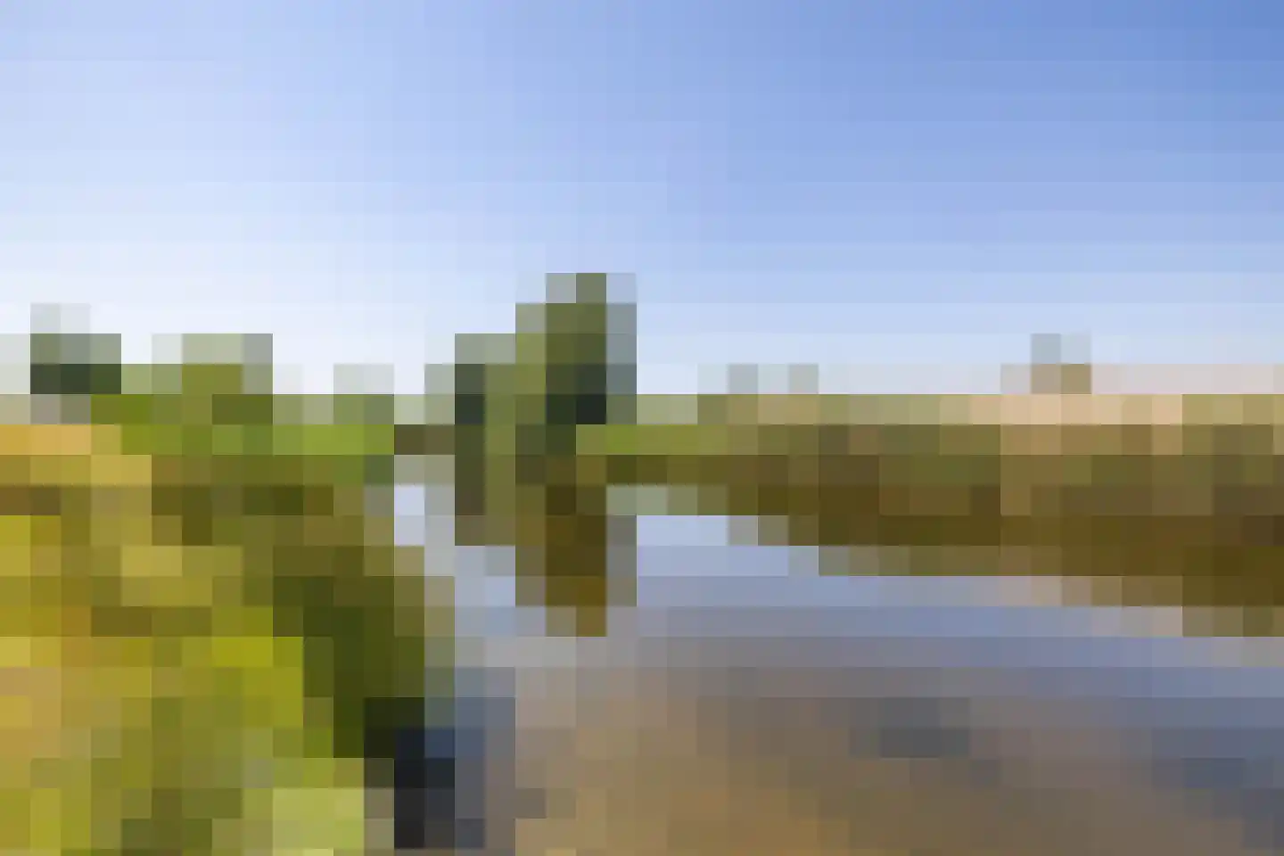 Blaarkop 67 Meerstad thumbnail 56