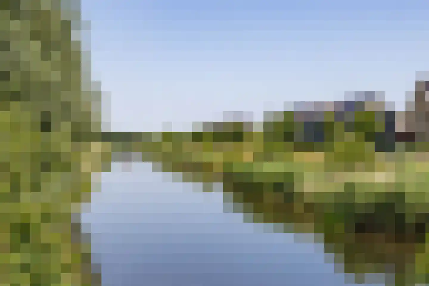 Blaarkop 67 Meerstad thumbnail 6