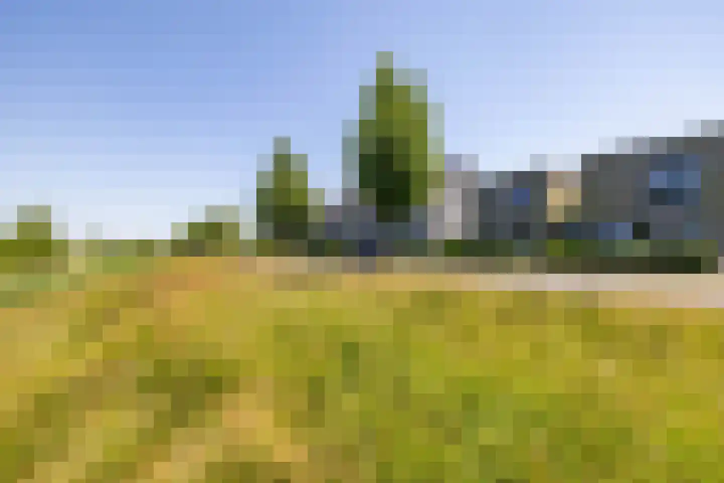 Blaarkop 67 Meerstad thumbnail 7