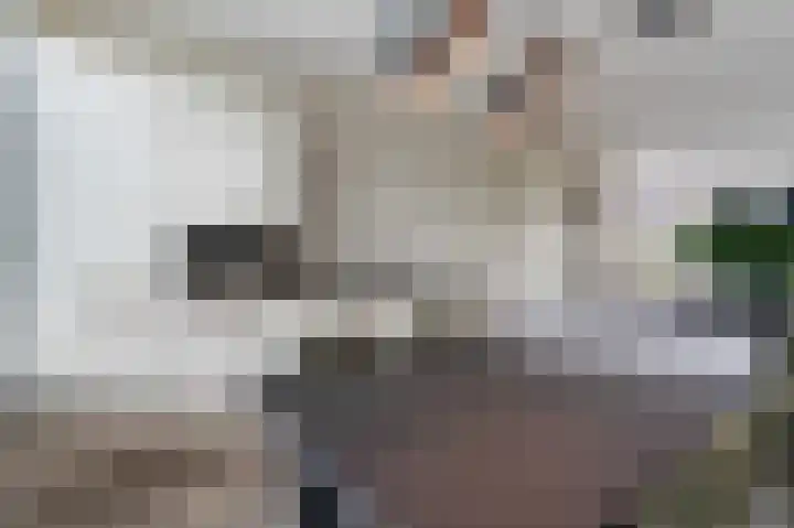 Blaarkop 73 Meerstad thumbnail 10