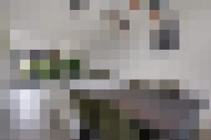 Blaarkop 73 Meerstad thumbnail 11