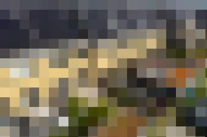 Blaarkop 73 Meerstad thumbnail 24