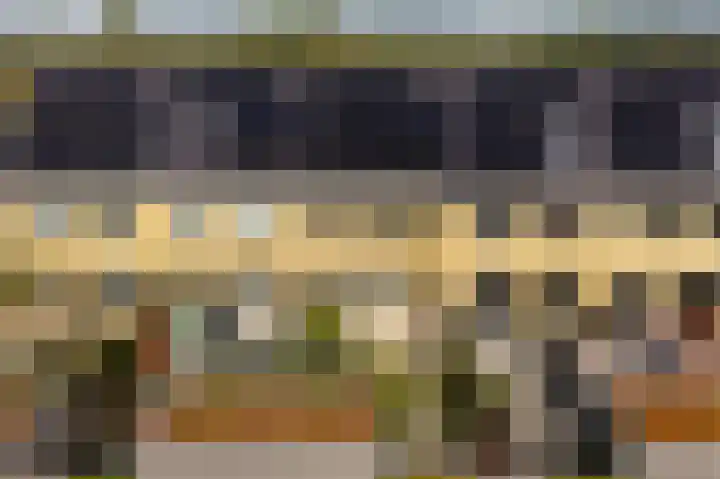 Blaarkop 73 Meerstad thumbnail 25