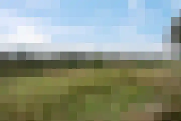 Blaarkop 73 Meerstad thumbnail 26