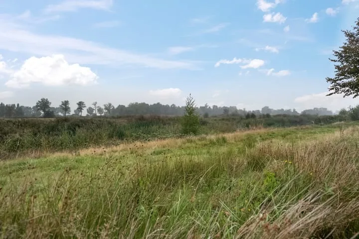 Blaarkop 73 Meerstad thumbnail 26