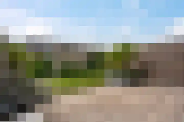 Blaarkop 73 Meerstad thumbnail 4
