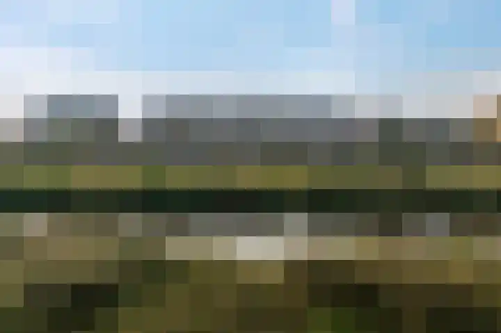 Blaarkop 73 Meerstad thumbnail 40