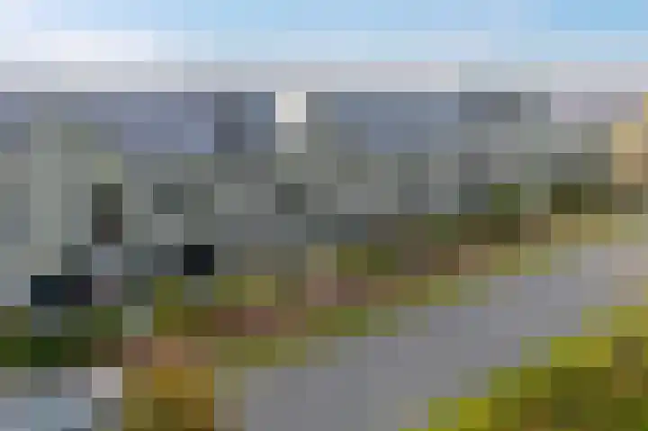 Blaarkop 73 Meerstad thumbnail 42