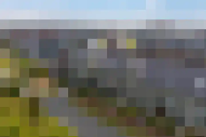 Blaarkop 73 Meerstad thumbnail 44