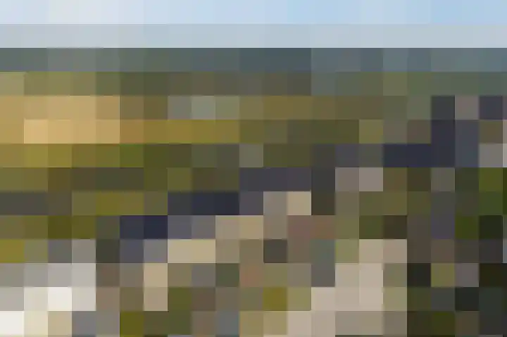 Blaarkop 73 Meerstad thumbnail 45