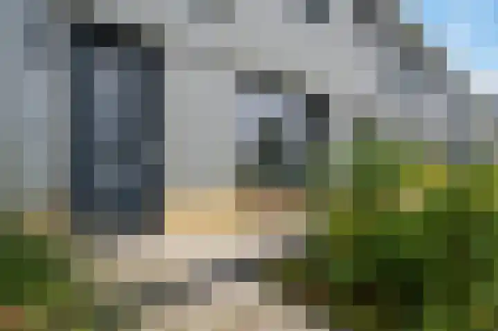 Blaarkop 73 Meerstad thumbnail 6