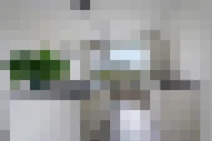 Blaarkop 73 Meerstad thumbnail 8