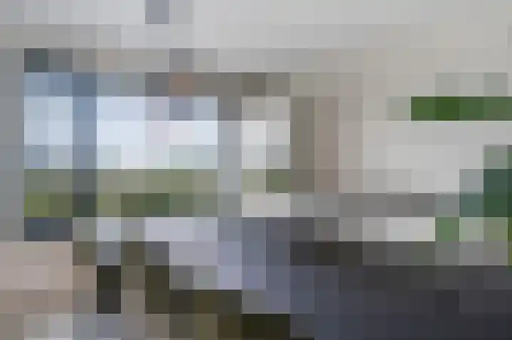 Blaarkop 73 Meerstad thumbnail 9