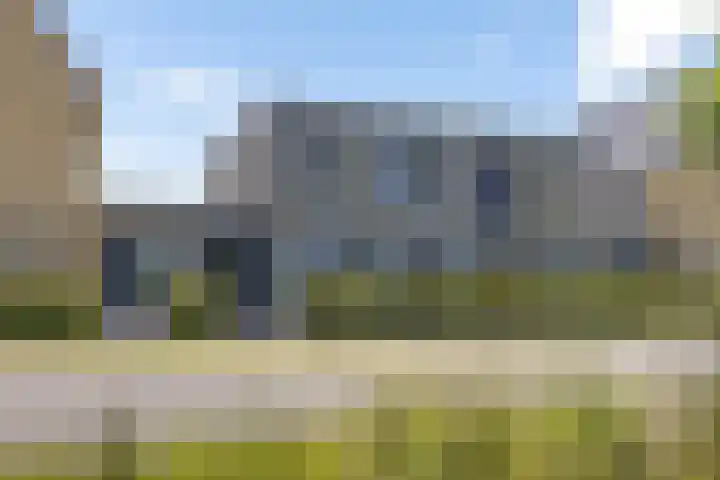 Blaarkop 93 Meerstad thumbnail 10