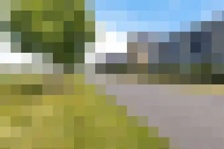 Blaarkop 93 Meerstad thumbnail 12