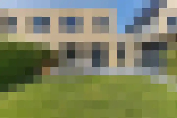 Blaarkop 93 Meerstad thumbnail 14