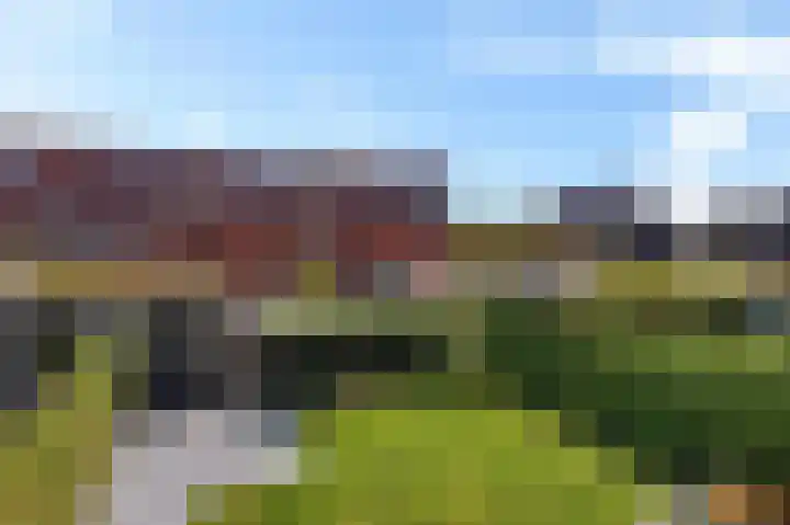 Blaarkop 93 Meerstad thumbnail 17