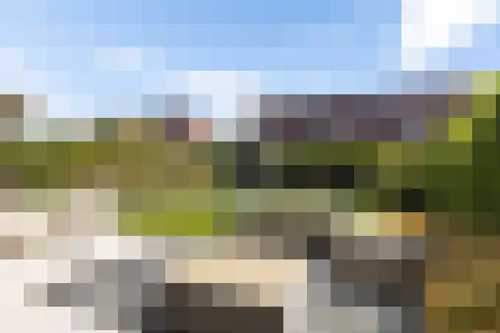 Blaarkop 93 Meerstad thumbnail 18