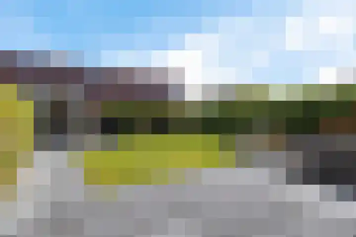 Blaarkop 93 Meerstad thumbnail 19