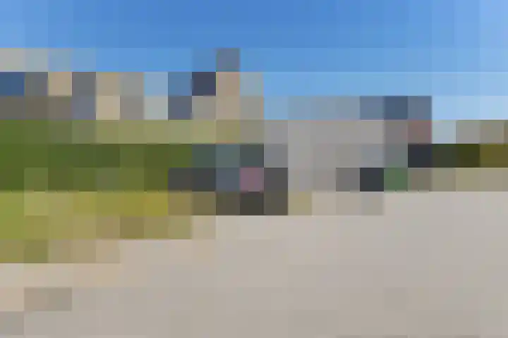 Blaarkop 93 Meerstad thumbnail 21