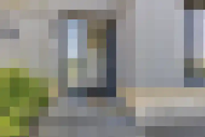 Blaarkop 93 Meerstad thumbnail 22
